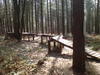 dsc00163.jpg