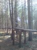 dsc00165.jpg