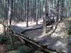 dsc00166.jpg